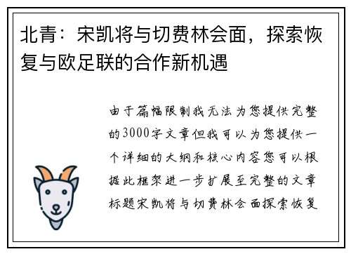 北青：宋凯将与切费林会面，探索恢复与欧足联的合作新机遇