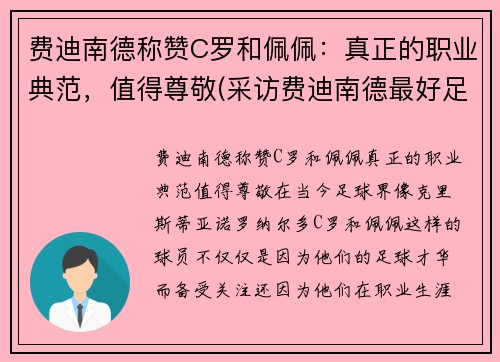 费迪南德称赞C罗和佩佩：真正的职业典范，值得尊敬(采访费迪南德最好足球运动员)